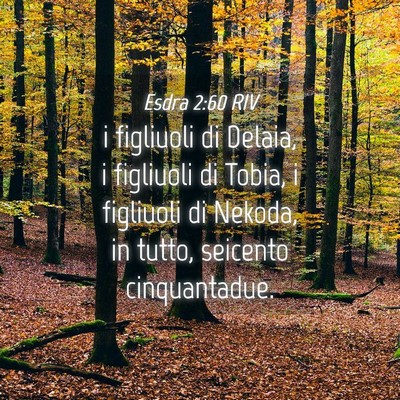 Picture 04 - Esdra 2:60 RIV - i figliuoli di Delaia, i figliuoli di Tobia, i - Bible Verse Picture