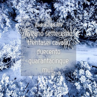 Picture 04 - Esdra 2:66 RIV - Aveano settecento trentasei cavalli, duecento - Bible Verse Picture