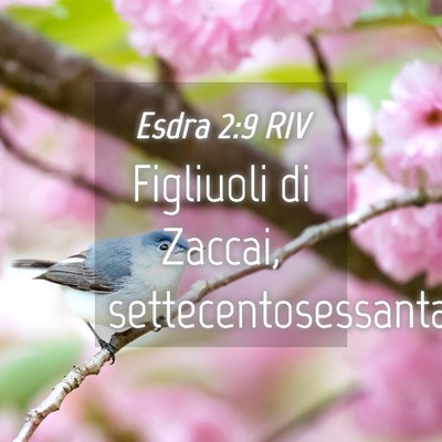 Picture 04 - Esdra 2:9 RIV - Figliuoli di Zaccai, - Bible Verse Picture