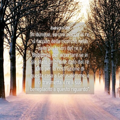 Picture 04 - Esdra 5:17 RIV - Or dunque, se così piaccia al re, si faccian - Bible Verse Picture