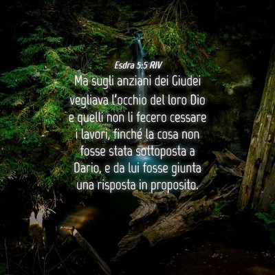 Picture 04 - Esdra 5:5 RIV - Ma sugli anziani dei Giudei vegliava l’occhio - Bible Verse Picture