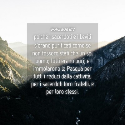 Picture 04 - Esdra 6:20 RIV - poiché i sacerdoti e i Leviti s’erano - Bible Verse Picture