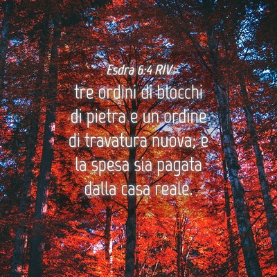Picture 04 - Esdra 6:4 RIV - tre ordini di blocchi di pietra e un ordine di - Bible Verse Picture