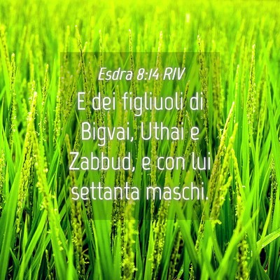 Picture 04 - Esdra 8:14 RIV - E dei figliuoli di Bigvai, Uthai e Zabbud, e con - Bible Verse Picture