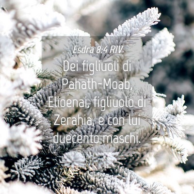 Picture 04 - Esdra 8:4 RIV - Dei figliuoli di Pahath-Moab, Elioenai, figliuolo - Bible Verse Picture