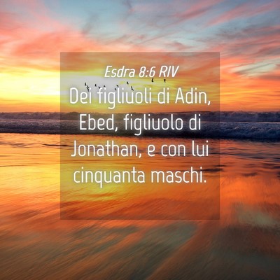 Picture 04 - Esdra 8:6 RIV - Dei figliuoli di Adin, Ebed, figliuolo di - Bible Verse Picture