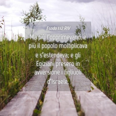 Picture 04 - Esodo 1:12 RIV - Ma più l’opprimevano, e più il popolo - Bible Verse Picture