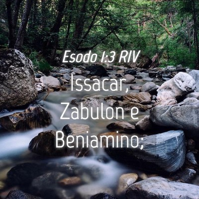 Picture 04 - Esodo 1:3 RIV - Issacar, Zabulon e - Bible Verse Picture