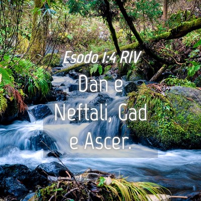Picture 04 - Esodo 1:4 RIV - Dan e Neftali, Gad e - Bible Verse Picture