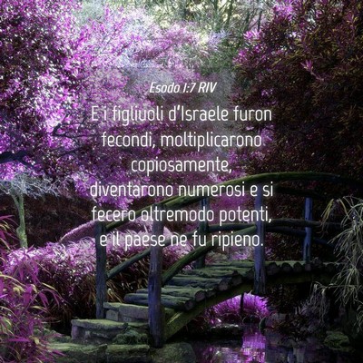 Picture 04 - Esodo 1:7 RIV - E i figliuoli d’Israele furon fecondi, - Bible Verse Picture