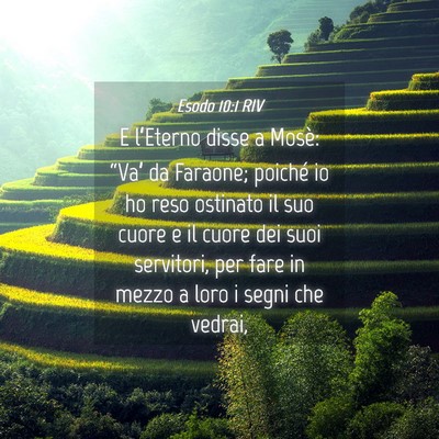 Picture 04 - Esodo 10:1 RIV - E l’Eterno disse a Mosè: “Va’ da Faraone; - Bible Verse Picture