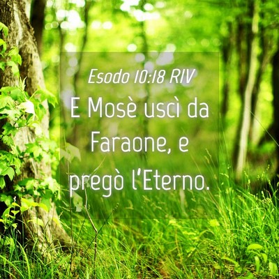 Picture 04 - Esodo 10:18 RIV - E Mosè uscì da Faraone, e pregò - Bible Verse Picture