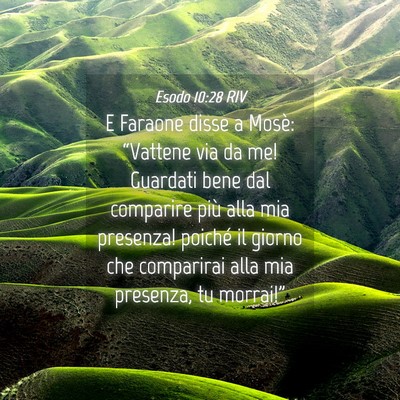 Picture 04 - Esodo 10:28 RIV - E Faraone disse a Mosè: “Vattene via da me! - Bible Verse Picture