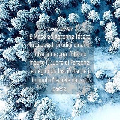 Picture 04 - Esodo 11:10 RIV - E Mosè ed Aaronne fecero tutti questi prodigi - Bible Verse Picture