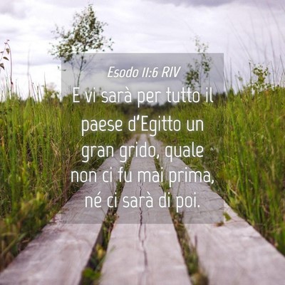 Picture 04 - Esodo 11:6 RIV - E vi sarà per tutto il paese d’Egitto un gran - Bible Verse Picture