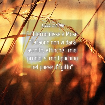 Picture 04 - Esodo 11:9 RIV - E l’Eterno disse a Mosè: “Faraone non vi - Bible Verse Picture