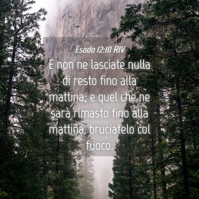 Picture 04 - Esodo 12:10 RIV - E non ne lasciate nulla di resto fino alla - Bible Verse Picture