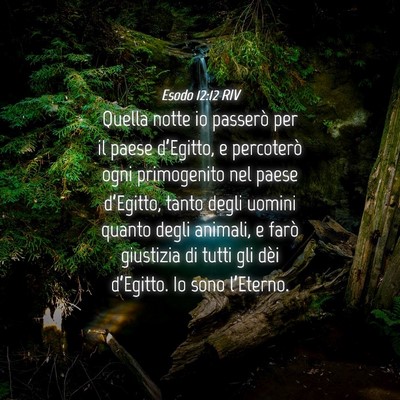 Picture 04 - Esodo 12:12 RIV - Quella notte io passerò per il paese d’Egitto, - Bible Verse Picture