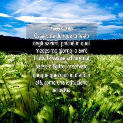 Picture 04 - Esodo 12:17 RIV - Osservate dunque la festa degli azzimi; poiché - Bible Verse Picture