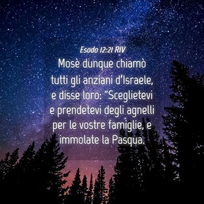 Picture 04 - Esodo 12:21 RIV - Mosè dunque chiamò tutti gli anziani - Bible Verse Picture