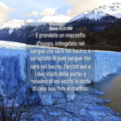 Picture 04 - Esodo 12:22 RIV - E prendete un mazzetto d’issopo, intingetelo - Bible Verse Picture
