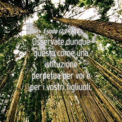 Picture 04 - Esodo 12:24 RIV - Osservate dunque questo come una istituzione - Bible Verse Picture