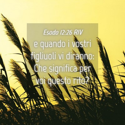 Picture 04 - Esodo 12:26 RIV - e quando i vostri figliuoli vi diranno: Che - Bible Verse Picture