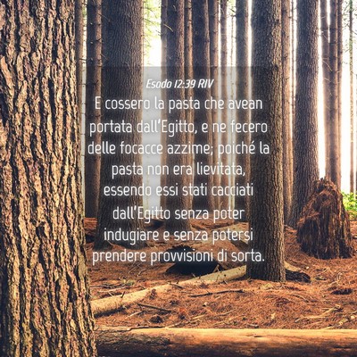 Picture 04 - Esodo 12:39 RIV - E cossero la pasta che avean portata - Bible Verse Picture