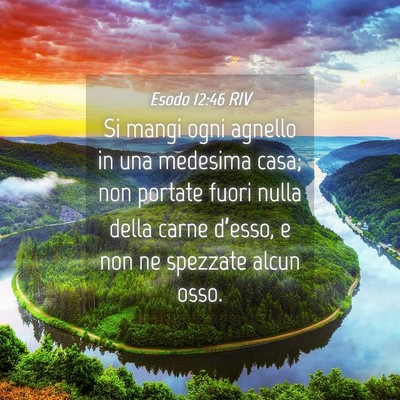 Picture 04 - Esodo 12:46 RIV - Si mangi ogni agnello in una medesima casa; non - Bible Verse Picture
