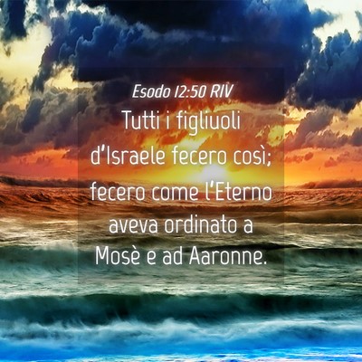 Picture 04 - Esodo 12:50 RIV - Tutti i figliuoli d’Israele fecero così; - Bible Verse Picture