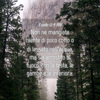 Picture 04 - Esodo 12:9 RIV - Non ne mangiate niente di poco cotto o di lessato - Bible Verse Picture