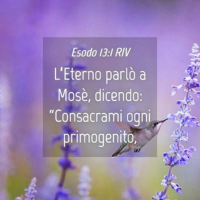 Picture 04 - Esodo 13:1 RIV - L’Eterno parlò a Mosè, dicendo: “Consacrami - Bible Verse Picture