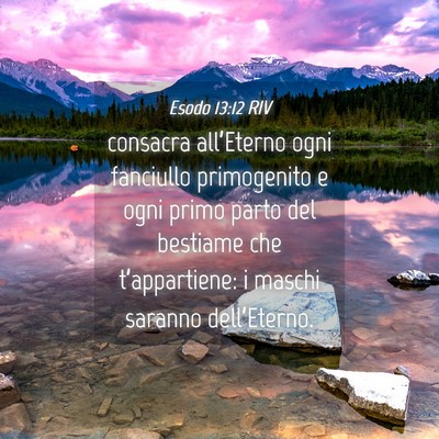 Picture 04 - Esodo 13:12 RIV - consacra all’Eterno ogni fanciullo primogenito - Bible Verse Picture