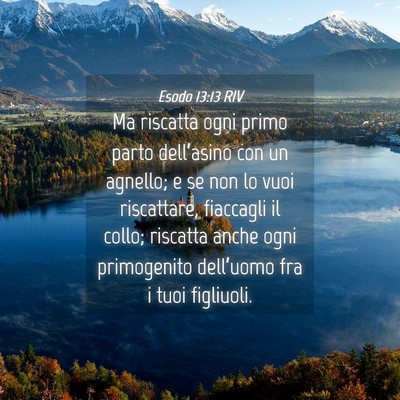 Picture 04 - Esodo 13:13 RIV - Ma riscatta ogni primo parto dell’asino con un - Bible Verse Picture
