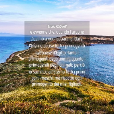 Picture 04 - Esodo 13:15 RIV - e avvenne che, quando Faraone s’ostinò a non - Bible Verse Picture