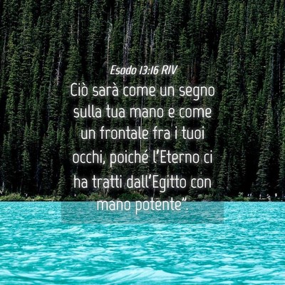 Picture 04 - Esodo 13:16 RIV - Ciò sarà come un segno sulla tua mano e come un - Bible Verse Picture