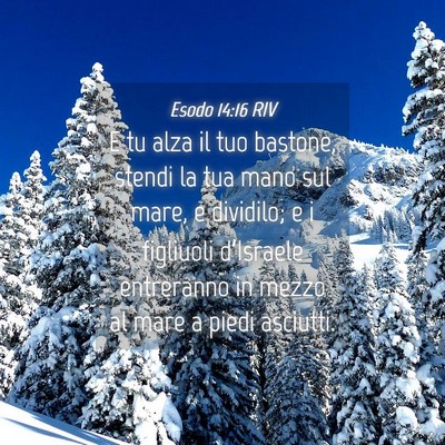 Picture 04 - Esodo 14:16 RIV - E tu alza il tuo bastone, stendi la tua mano sul - Bible Verse Picture