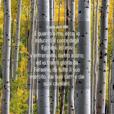 Picture 04 - Esodo 14:17 RIV - E quanto a me, ecco, io indurerò il cuore degli - Bible Verse Picture