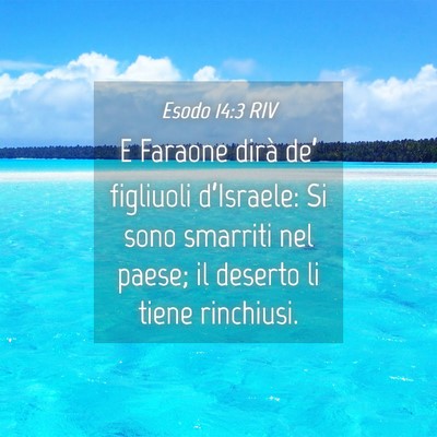 Picture 04 - Esodo 14:3 RIV - E Faraone dirà de’ figliuoli d’Israele: Si - Bible Verse Picture