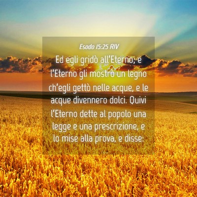 Picture 04 - Esodo 15:25 RIV - Ed egli gridò all’Eterno; e l’Eterno gli - Bible Verse Picture