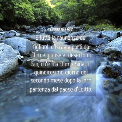 Picture 04 - Esodo 16:1 RIV - E tutta la raunanza de’ figliuoli d’Israele - Bible Verse Picture