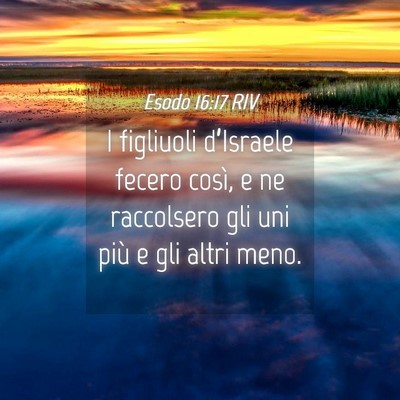 Picture 04 - Esodo 16:17 RIV - I figliuoli d’Israele fecero così, e ne - Bible Verse Picture