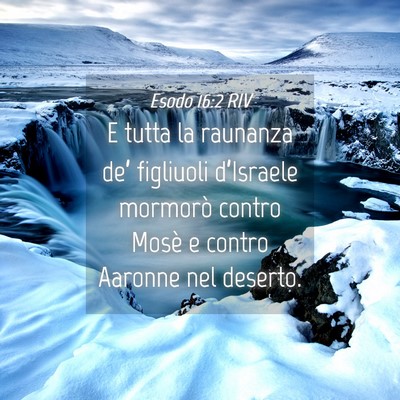 Picture 04 - Esodo 16:2 RIV - E tutta la raunanza de’ figliuoli d’Israele - Bible Verse Picture