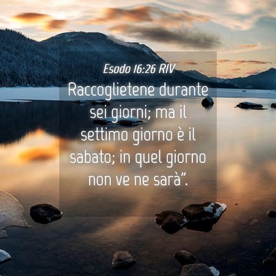 Picture 04 - Esodo 16:26 RIV - Raccoglietene durante sei giorni; ma il settimo - Bible Verse Picture