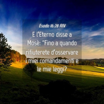 Picture 04 - Esodo 16:28 RIV - E l’Eterno disse a Mosè: “Fino a quando - Bible Verse Picture