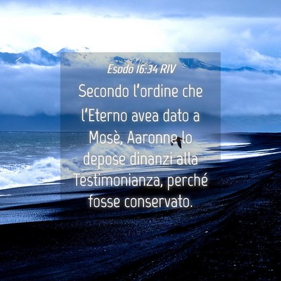 Picture 04 - Esodo 16:34 RIV - Secondo l’ordine che l’Eterno avea dato a - Bible Verse Picture