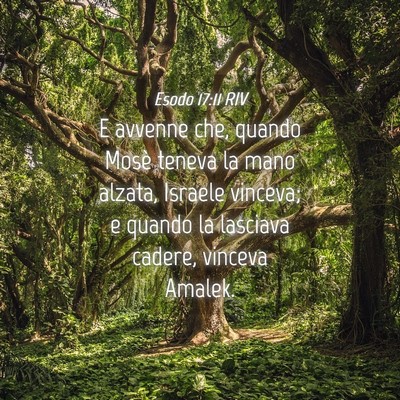 Picture 04 - Esodo 17:11 RIV - E avvenne che, quando Mosè teneva la mano - Bible Verse Picture