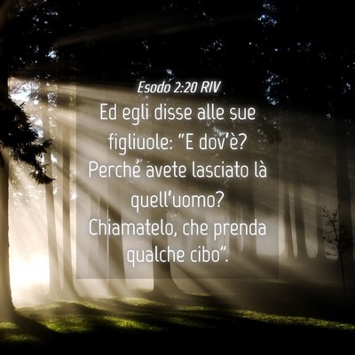 Picture 04 - Esodo 2:20 RIV - Ed egli disse alle sue figliuole: “E dov’è? - Bible Verse Picture