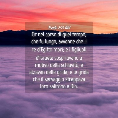 Picture 04 - Esodo 2:23 RIV - Or nel corso di quel tempo, che fu lungo, avvenne - Bible Verse Picture