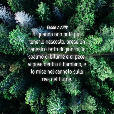Picture 04 - Esodo 2:3 RIV - E quando non poté più tenerlo nascosto, prese - Bible Verse Picture